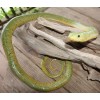 Large Realistic Green Snake Replica - Rubber