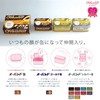 Republic of O Band Tin G # 16 American Color GG – 040 Rubber