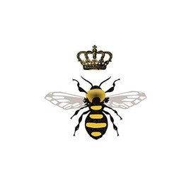 Set of 5 x Queen Bee Iron on Screen Print Fabric Applique Machine Washable Transfer Royal Bee