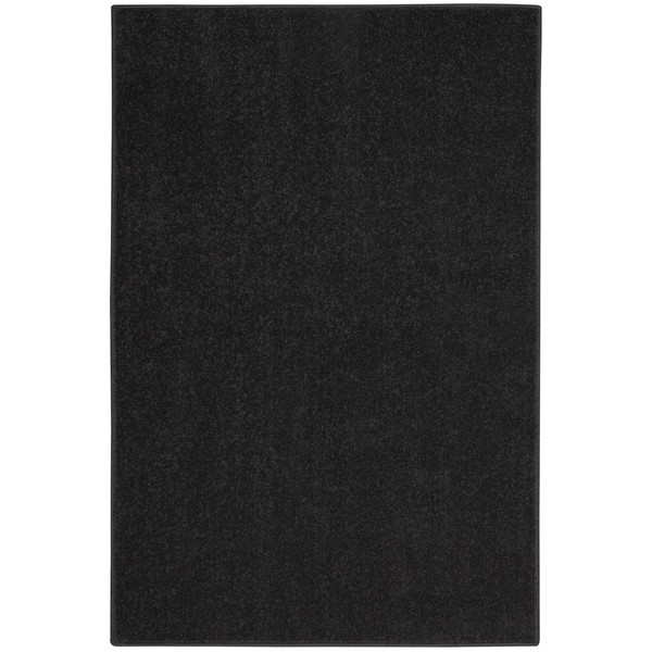 Nourison Essentials Indoor/Outdoor Black 2' x 4' Area Rug, Easy -Cleaning, Non Shedding, Bed Room, Living Room, Dining Room, Backyard, Deck, Patio (2x4)