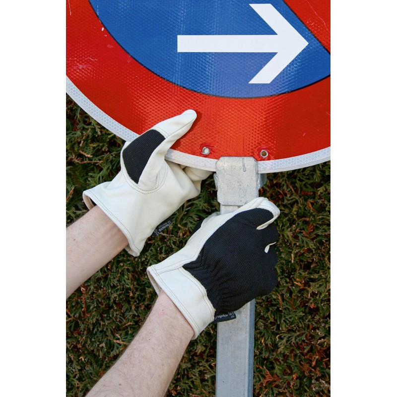 Kerbl 297173 Graphix Glove, Size 9