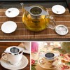 TerraShine Stainless Steel Ultra Fine Mesh Tea Strainer, Easy to