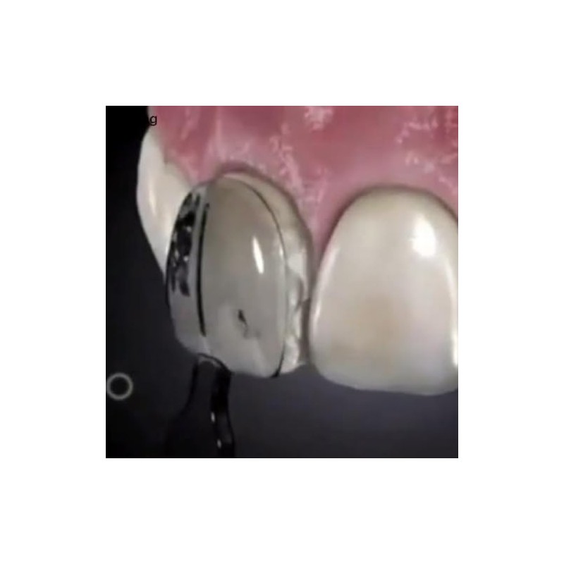 El molde de resina oral de fang1box se solidifica rápidamente