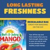 Dried Mango Slices - Delicious Texture Soft & Juicy Low