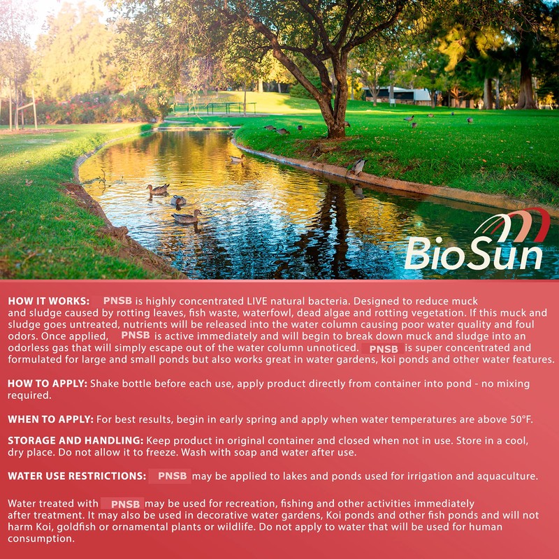 BioSun Purple Non-Sulfur Bacteria for Ponds and Lakes – Fish,