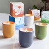 Modern Sprout Garden Vibes 2-in-1 Soy Candle & Planter -
