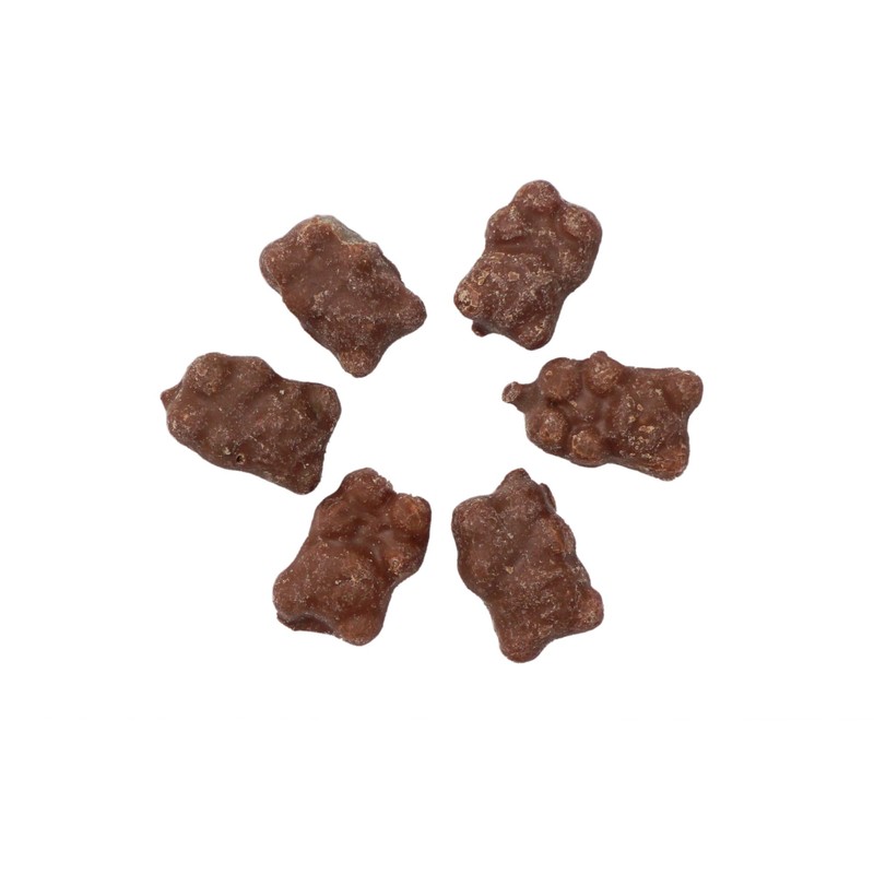 Milk Chocolate Covered Gummy Bears, 1 Pound Bulk Bag, Chocolate