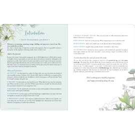 Pregnancy Journal (Deluxe, Clothbound Edition)