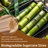 200 Pcs Sugarcane Straws Disposable, 8 In Drinking Agave Long