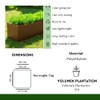 Elly Décor 24 x 8 inch Rectangular Plastic Planter with
