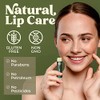 Bálsamo labial orgánico USDA de Earth's Daughter, paquete de 4