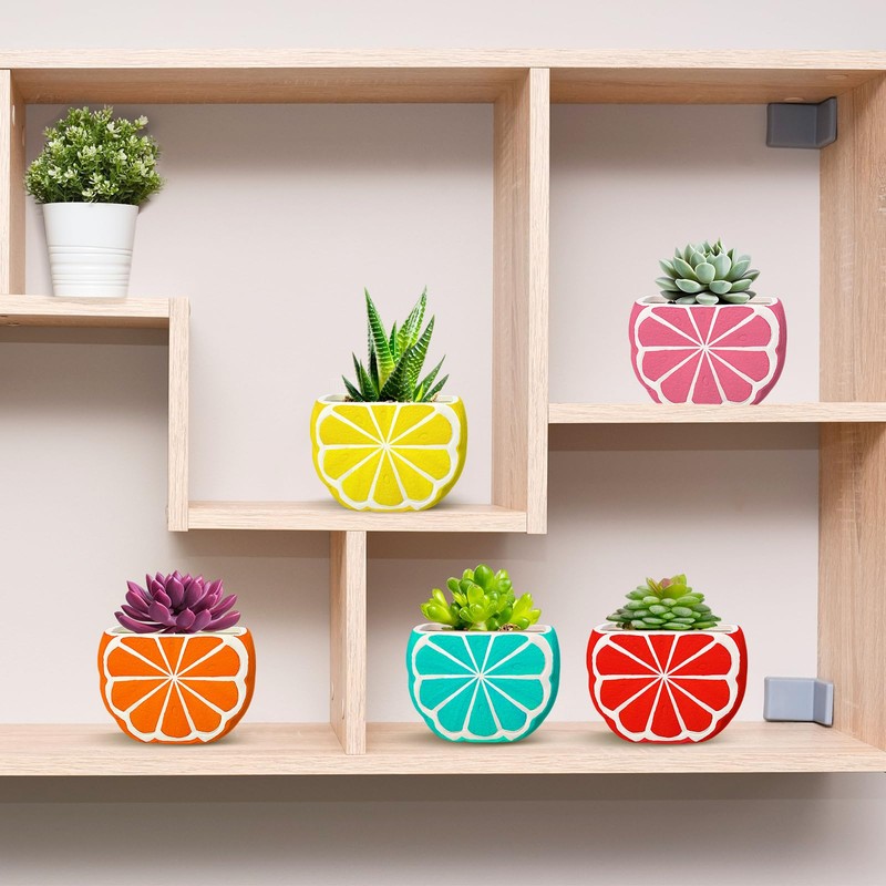 Pasimy 6 Set Ceramics to Paint DIY Ceramic Succulent Planter