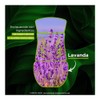Air Wick Repuesto para Aromatizante Eléctrico, Lavanda Manzanilla, 21ml