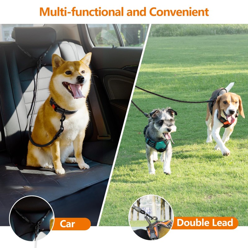 Taglory Double Dog Leash | Reflective Rope | No Tangle