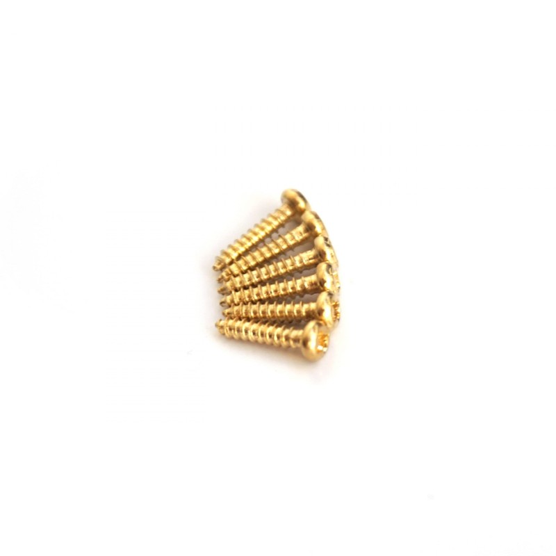 Guitar Anatomy Machine Head/String Tree/Truss Rod Screws Gold x6
