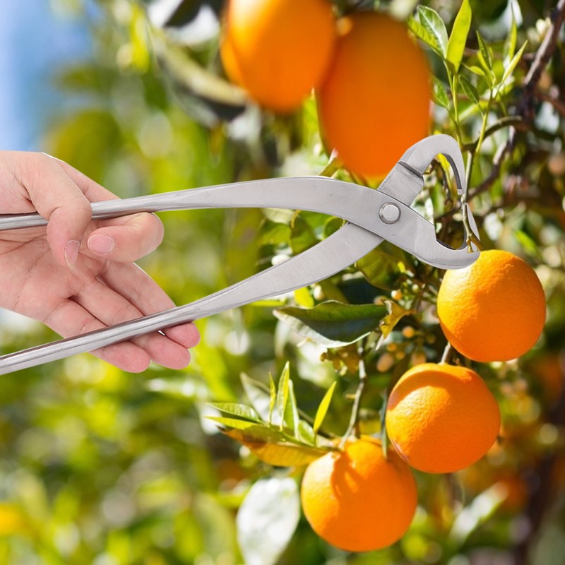 27cm Stainless Steel Trunk Splitter Branch Cutter Bonsai Tools Garden