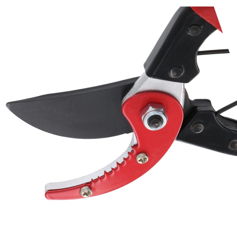 Takagi Pruning Shears with Jiza Catch, 7.9 inches (200 mm)