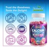 Calcium Supplement Gummies - Sugar Free Calcium Gummy with 400