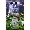 zalati Aquarium Isolation Box with Suction Cups for Youth Fish