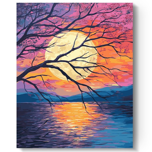 HTVRONT Paint by Number for Adults, Moon Easy Paint by
