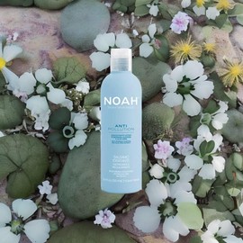 Noah Natural Anti Pollution Moisturizing Conditioner, Detangling And Balancing With Moringa And Oleifera And Aloe Vera Extract For All Hair Types 250ml