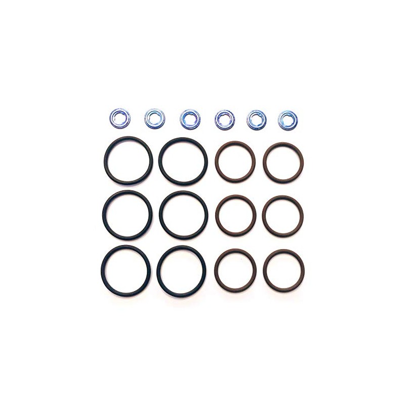 Nelson Seals Viton O-Ring Kit for International DT466E DT570 9