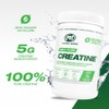 PVL 100% Pure Creatine - Creatine Monohydrate Micronized Powder -