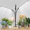 GooingTop Grow Light LED Gooseneck Lamp,Triple-Head Full Spectrum 222 LED