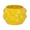 Sagebrook Home Unique Decorative Ceramic Planter for Indoor Greenery