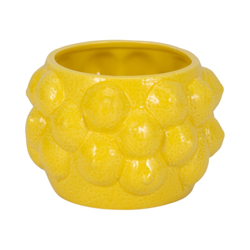 Sagebrook Home Unique Decorative Ceramic Planter for Indoor Greenery