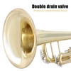 ROWELL Bb Trumpet Standard Trumpet Set,Double Support Beam Design Trunpet,