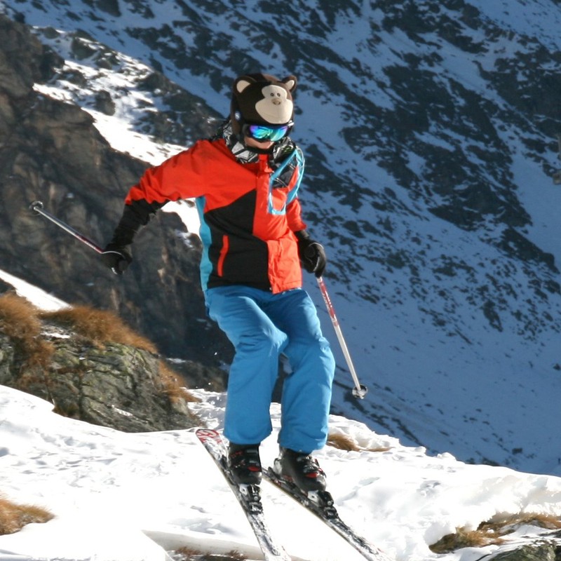 Coolcasc Monkey Animals