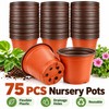 75-150 Pack Flexible Nursery Pots for Seed Starting – Soft
