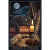 Lisa Parker Set of 4 - Magical Cats - 12x18