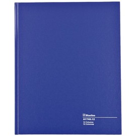 Blueline Columnar Book, Perfect Binding, 12 Columns with Description, 80 Pages, 12-1/4-Inch x 9-7/8-Inch, Blue (A1740.12)