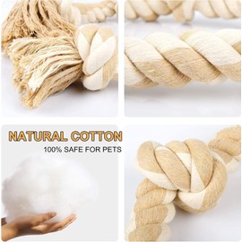 Pet Needs Dog Toy Combo of 3 Chewing Teething Fetching Durable Toys for Puppies and Small to Mini Size Dogs (Color May Vary)