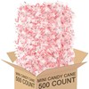 Mini Candy Canes Peppermint Flavor - Classic Red & White,