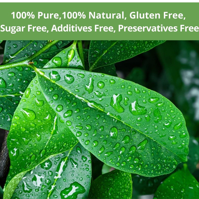 40 Soursop Leaves Tea Bags, Dried Soursop Graviola Leaves Tea,
