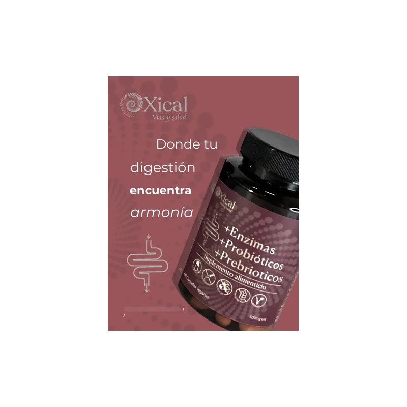 Xical Vida Y Salud, 4 Enzimas Digestivas Y 4 Probióticos