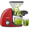 Masticating Juicer - Cold Press, Dual Mouth, Anti-Clog, Quiet, BPA-Free,