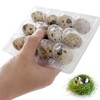 QIUMING 12 Grid Quail Egg Boxes Quail Egg Boxes Quail