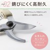 Small Lightweight Pruning Shears (High Carbon Steel)