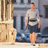 Hands-Free Dog Leash with Adjustable Waist Belt, Dual Handles, Shock