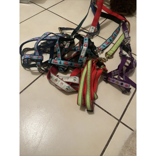 UpCountry Dog Harness Leash M Bees Hive Upcountry Bella Bean