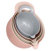 BoxedHome Nesting Plastic Mixing Bowl Set with Pour Spouts and