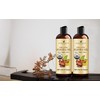 Handcraft Blends USDA Organic Jojoba Oil | Cold-Pressed | 8