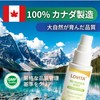 LOVITA Propolis Spray, Highly Concentrated Extract 50% (250 mg/ml) |