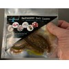 King Ragworm 22cm (8") x3 Natural Ragworm Life like Artificial