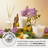 Apotheke Luxury Scented Candles for Home, Canvas - Aromatherapy Jar