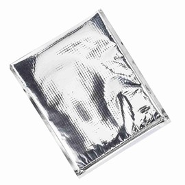 5 Insulated Aluminium Foil Food Storage Bags with Zipper, Heat and Cold Insulation for Picnic, Travel and Daily Food Preservation (30 x 35 cm)